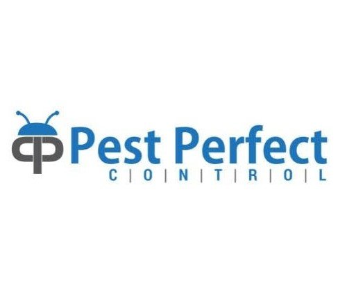 Pest Perfect Control